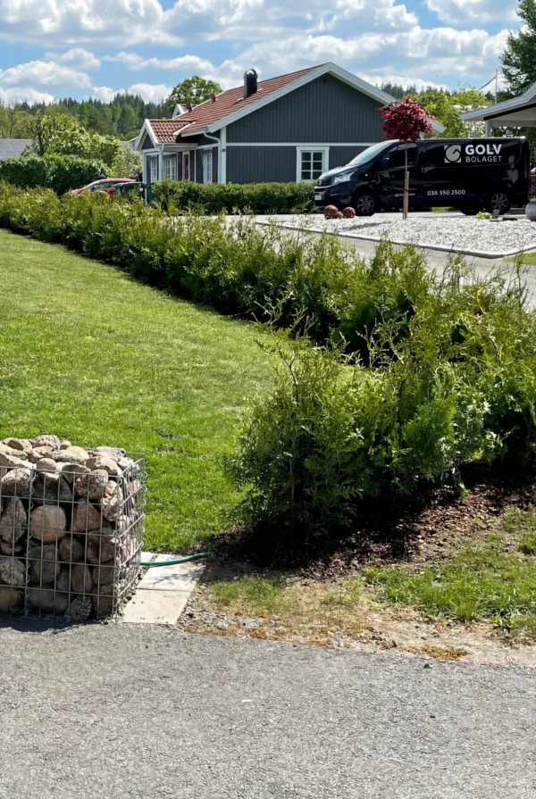 Kartiotuija Ruukku Genius Paketti 60-100cm - Image 3