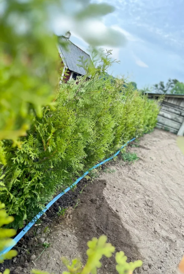 Tuija King of Brabant Ruukku Genius Paketti 180-220cm - Image 3