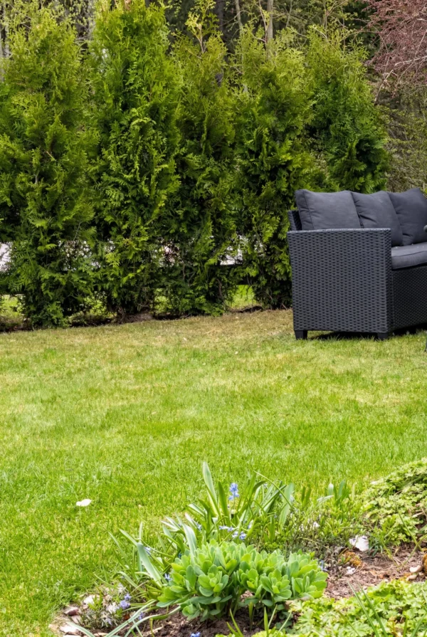 Tuija King of Brabant Ruukku Genius Paketti 220-260cm - Image 3