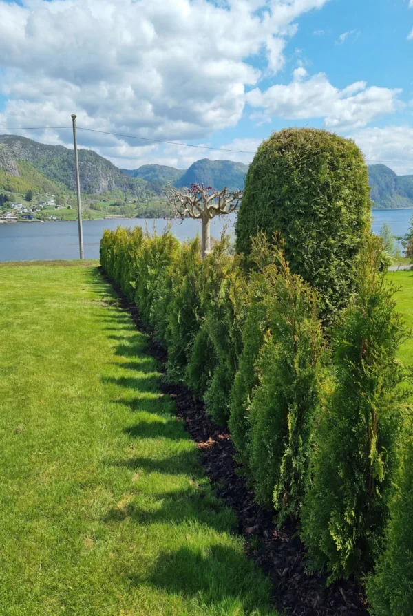 Timanttituija Ruukku Genius Paketti 100-140cm - Image 3